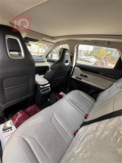 جيتور داشينج